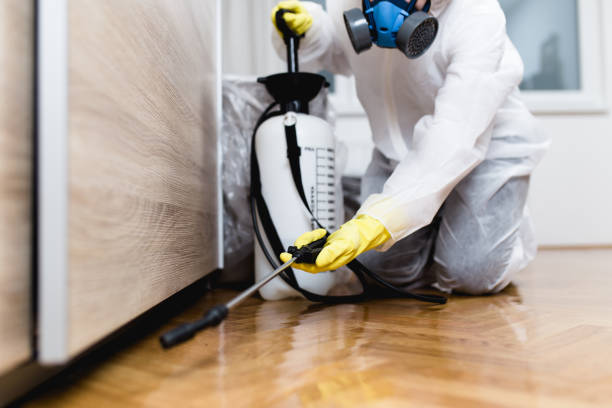 Best Cockroach Control Services  in Somerville, MA