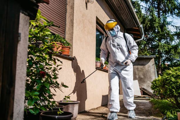Best Mosquito Control Services  in Somerville, MA