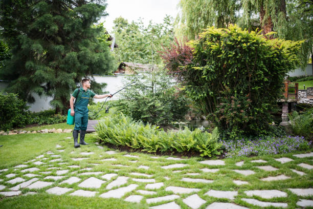 Flea Control Services in Somerville, MA