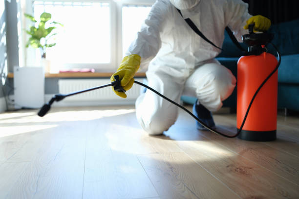 Best Flea Control Services  in Somerville, MA