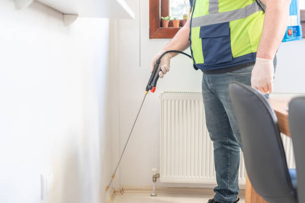 Best Pest Inspection Near Me  in Somerville, MA