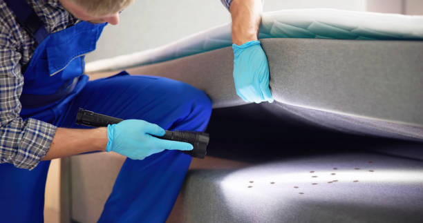 Best Affordable Pest Control Services  in Somerville, MA