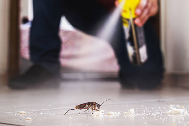 Best Pest Control Near Me  in Somerville, MA